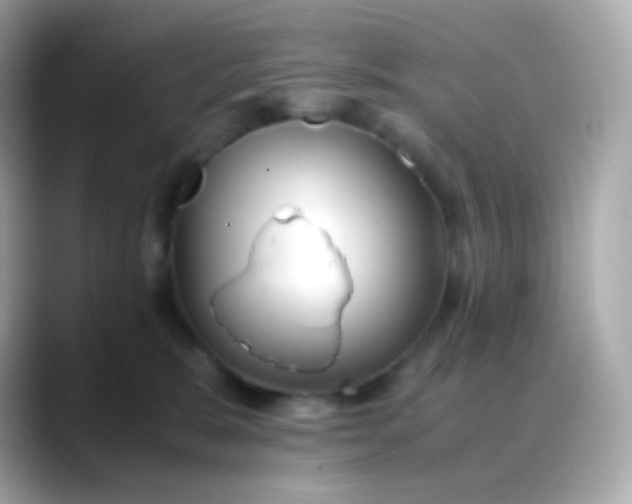 X0000088460327200706051329