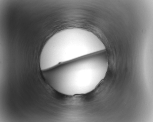 X0000088460329200706051329