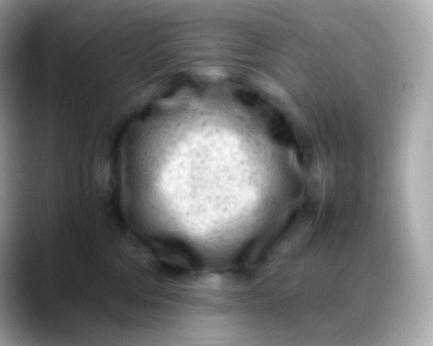 X0000088460330200706051329