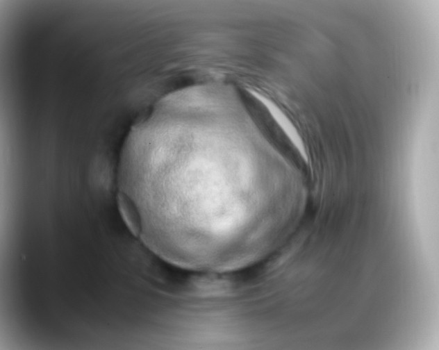 X0000088460331200706051329