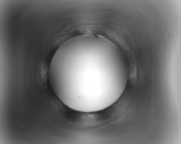 X0000088460332200706051329