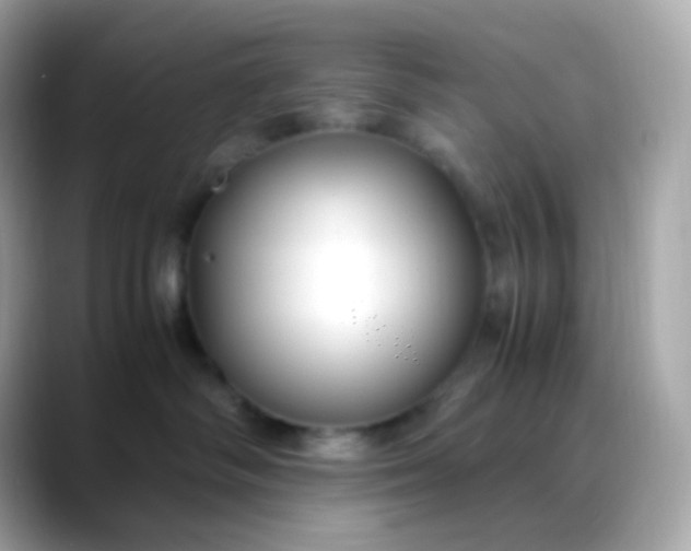 X0000088460334200706051329