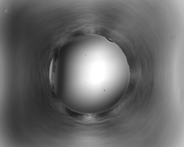 X0000088460335200706051329