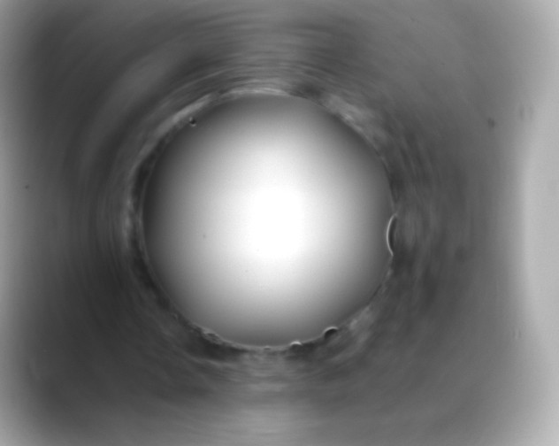 X0000088460338200706051328