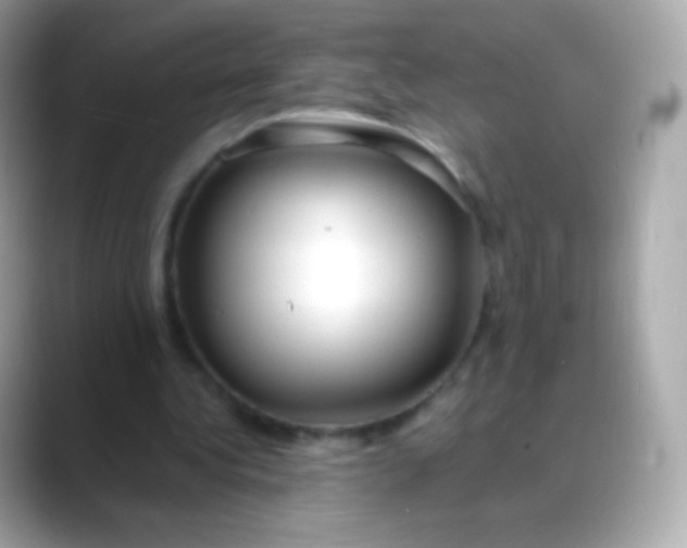 X0000088460340200706051328