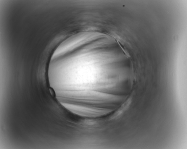 X0000088460341200706051328