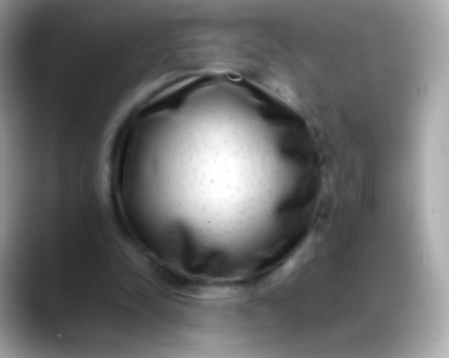 X0000088460342200706051328