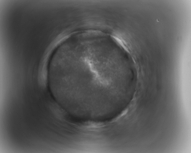 X0000088460343200706051328