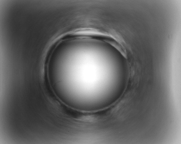 X0000088460344200706051328