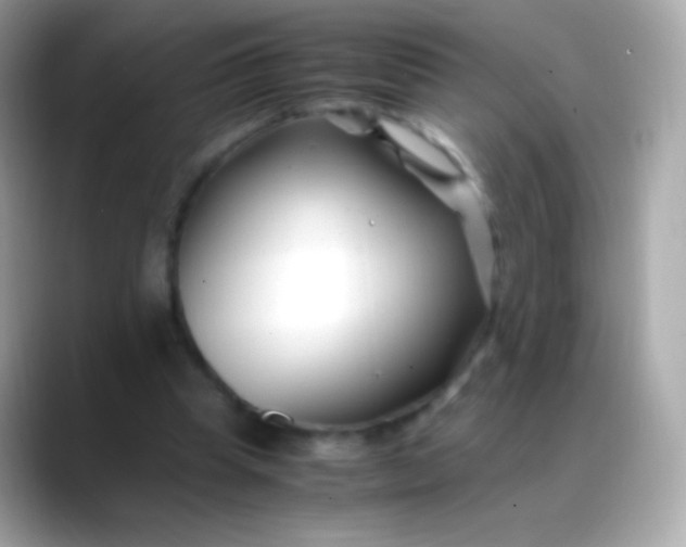 X0000088460345200706051328