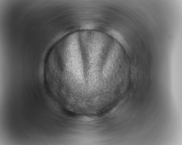 X0000088460346200706051328