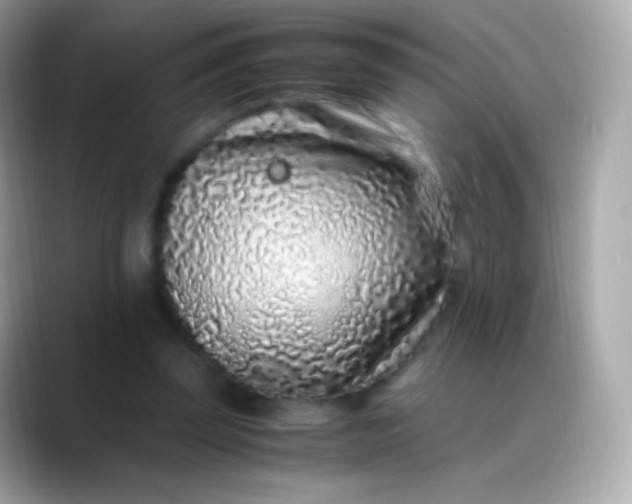 X0000088460347200706051328