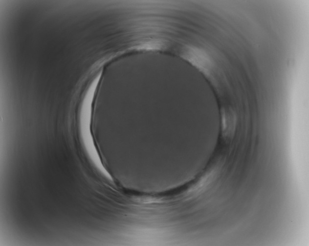 X0000088460348200706051328