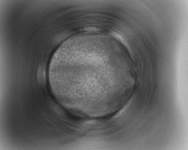 X0000088460349200706051328