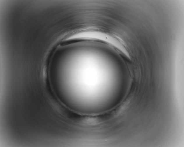 X0000088460350200706051328