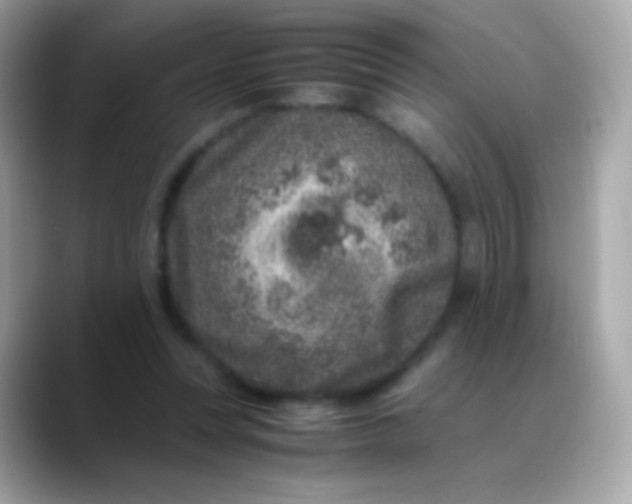 X0000088460351200706051328