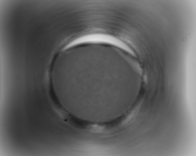 X0000088460352200706051328