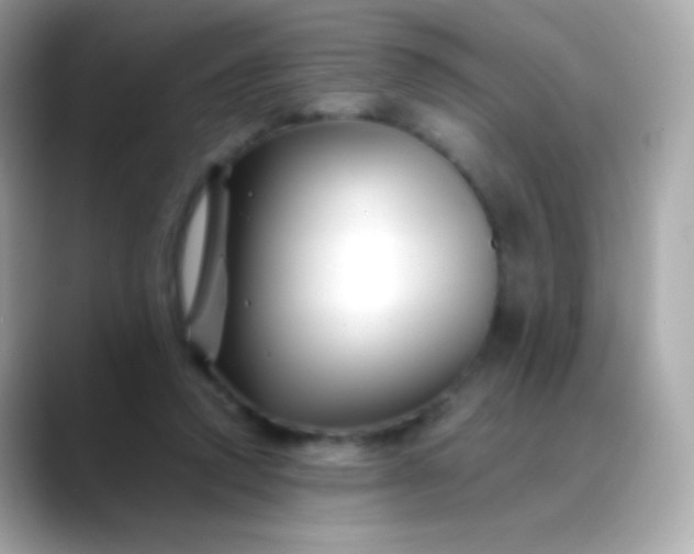 X0000088460354200706051328