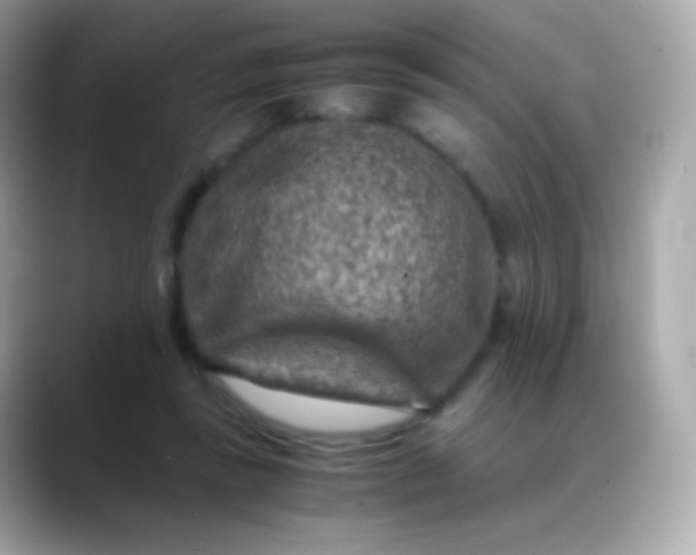 X0000088460355200706051328