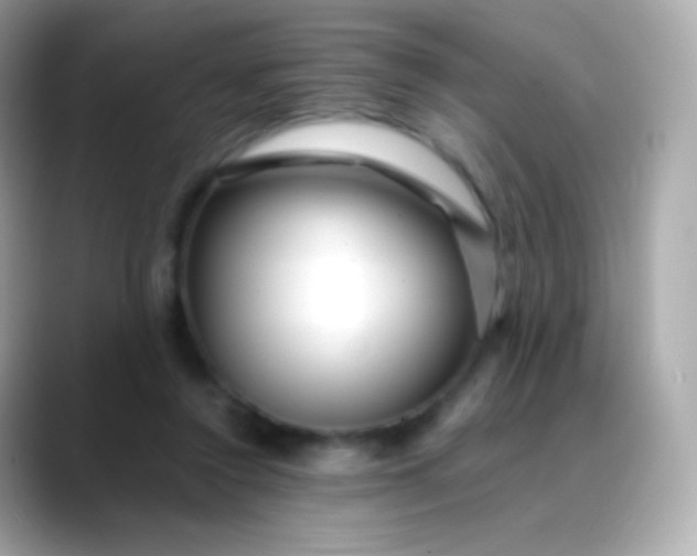 X0000088460356200706051328