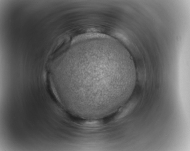 X0000088460357200706051328