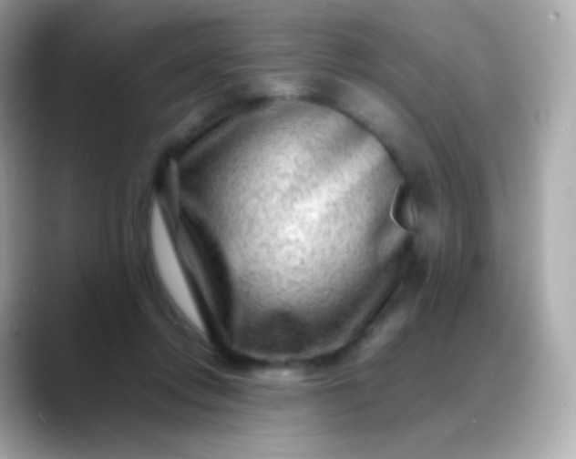 X0000088460358200706051328