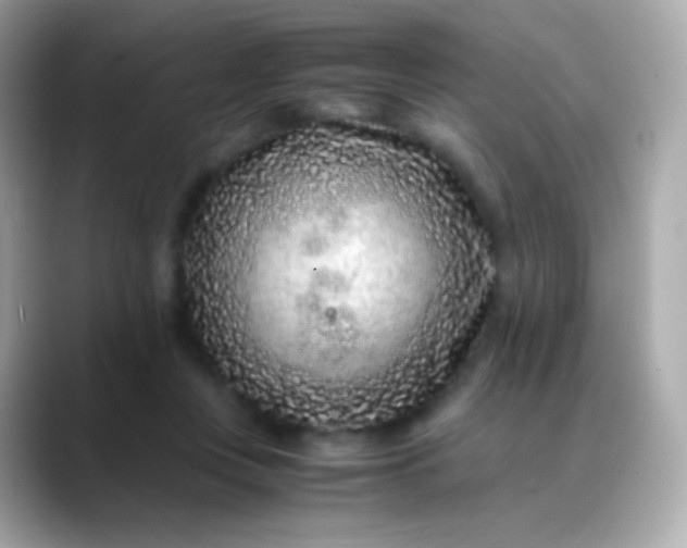 X0000088460359200706051328