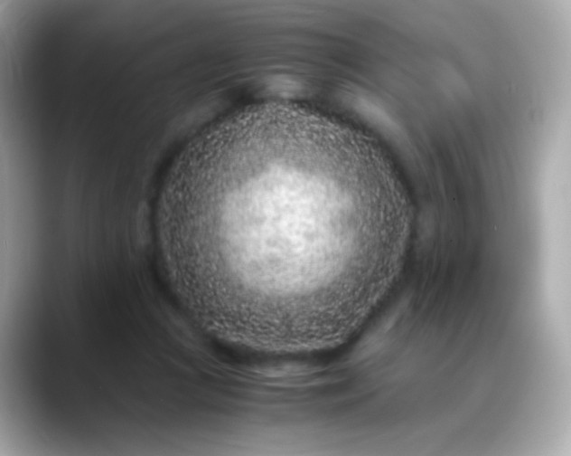 X0000088460361200706051328