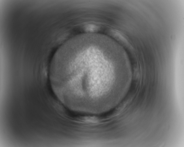 X0000088460363200706051328