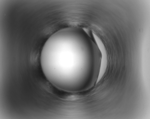 X0000088460364200706051328