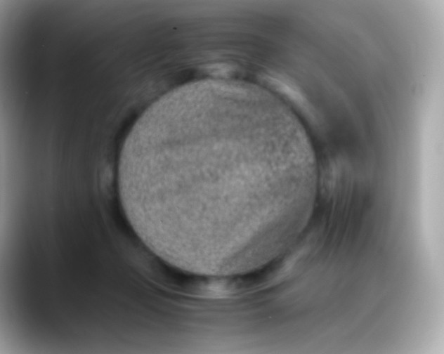 X0000088460365200706051328