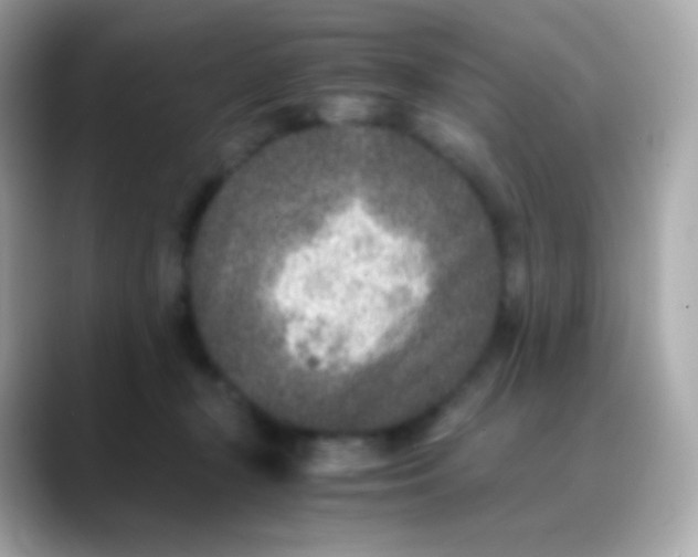 X0000088460367200706051328