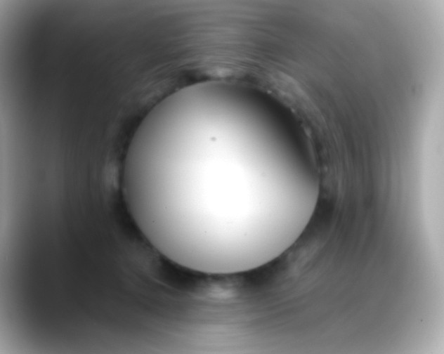 X0000088460368200706051328