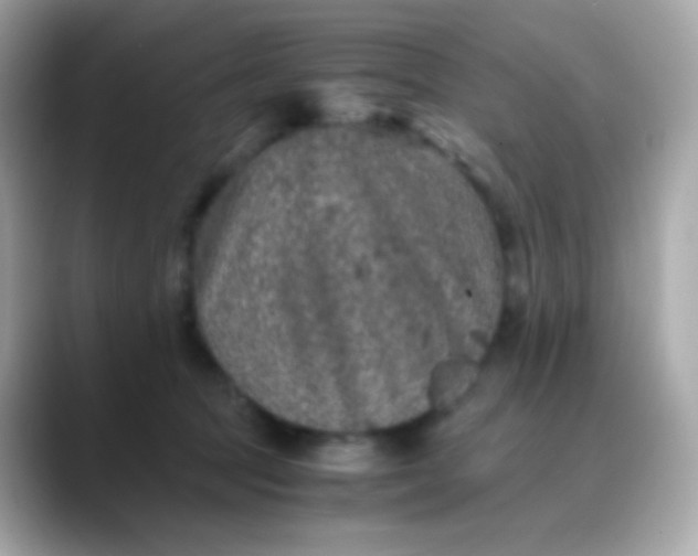 X0000088460369200706051328