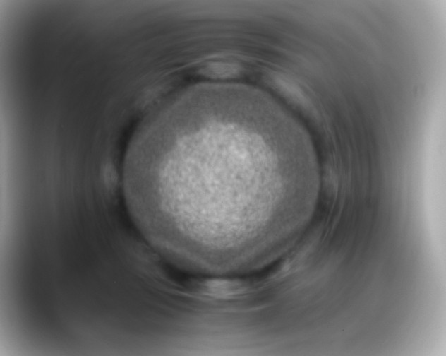 X0000088460371200706051328