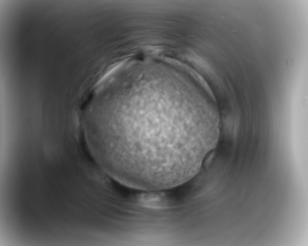 X0000088460373200706051328