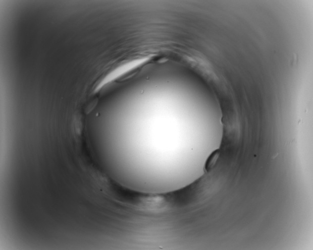 X0000088460374200706051328