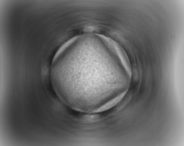 X0000088460375200706051328