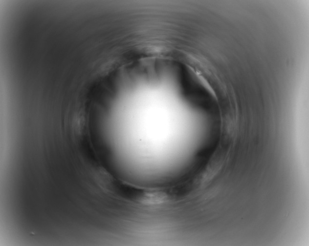 X0000088460376200706051328