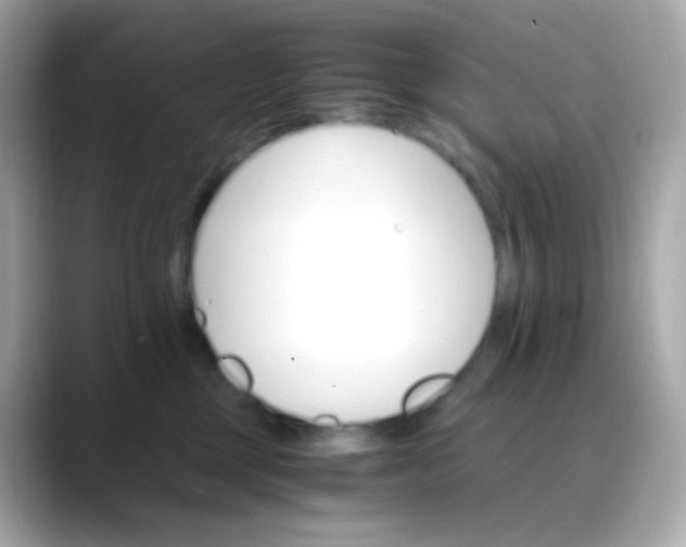 X0000088460377200706051328