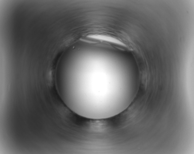 X0000088460378200706051328