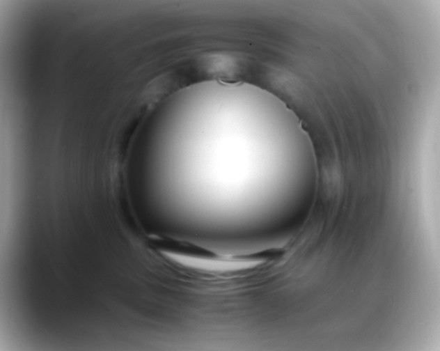 X0000088460379200706051328