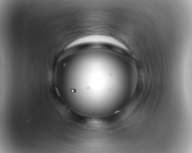 X0000088460380200706051328