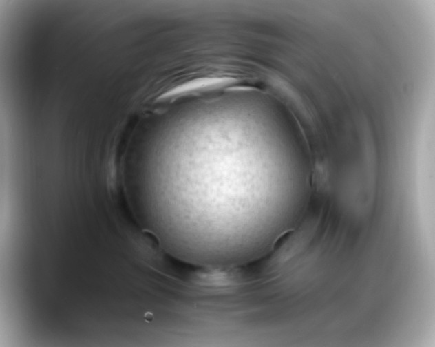 X0000088460381200706051328