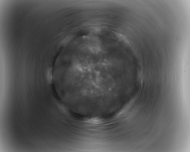 X0000088460383200706051329