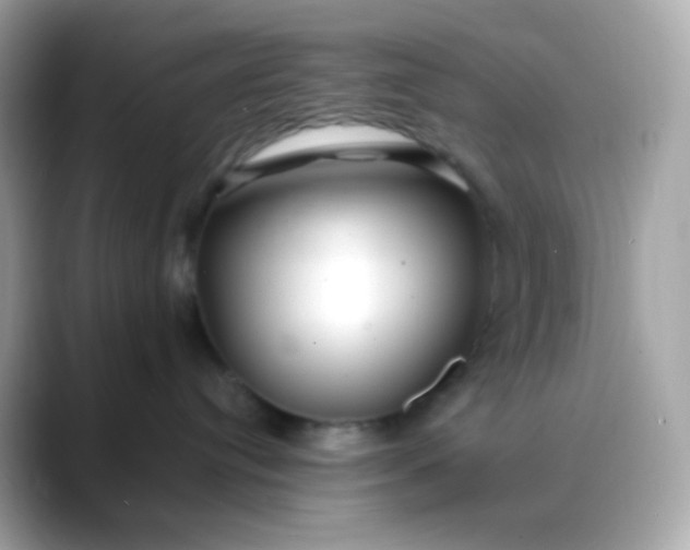 X0000088460384200706051329