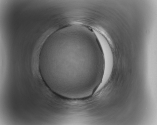 X0000088460385200706051328