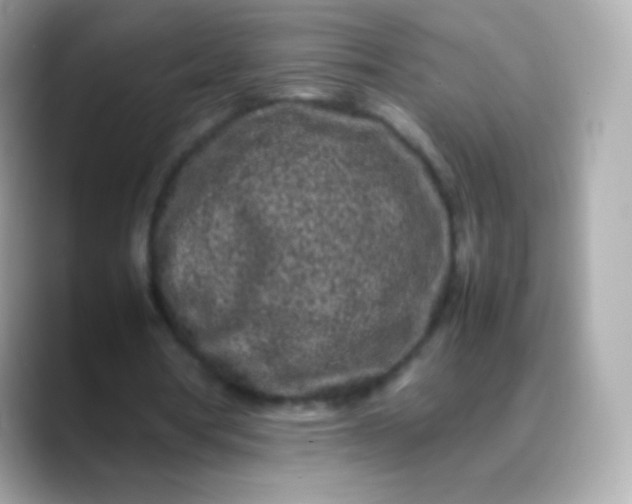 X0000088460386200706051328