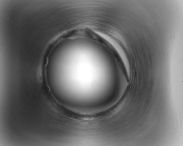 X0000088460388200706051328