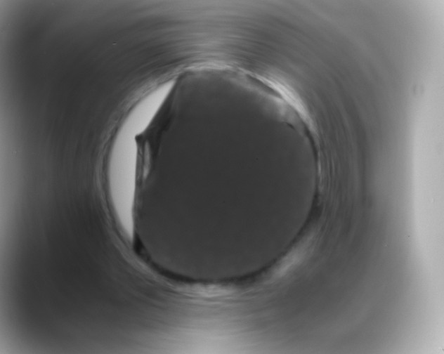 X0000088460389200706051328